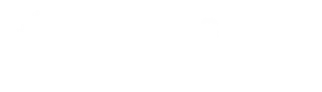 experience